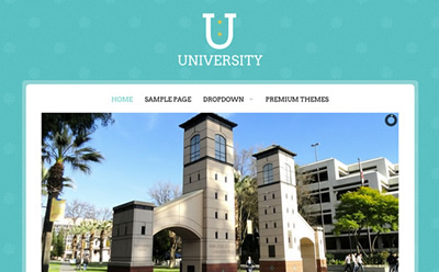 university.jpg